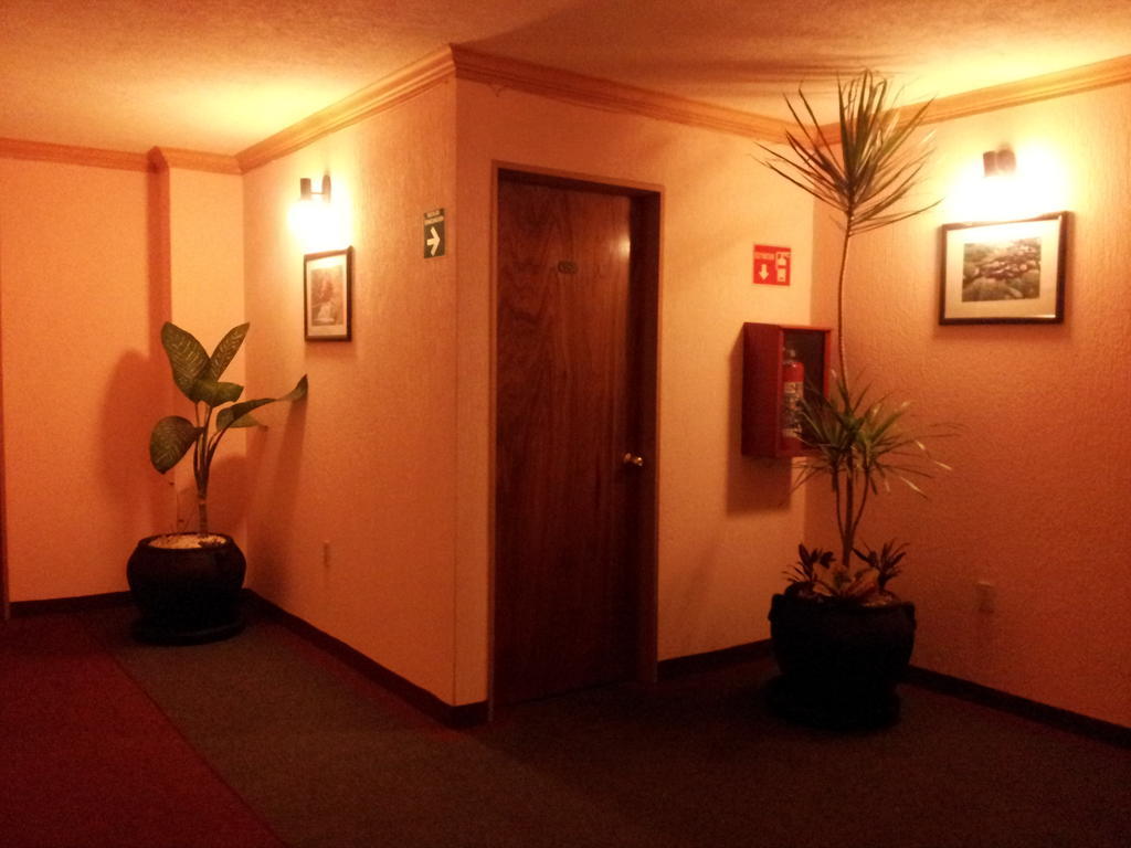 Hotel Siesta Del Sur Мексико Сити Екстериор снимка